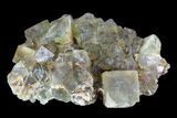 Yellow/Green Cubic Fluorite Crystal Cluster - Morocco #82804-1